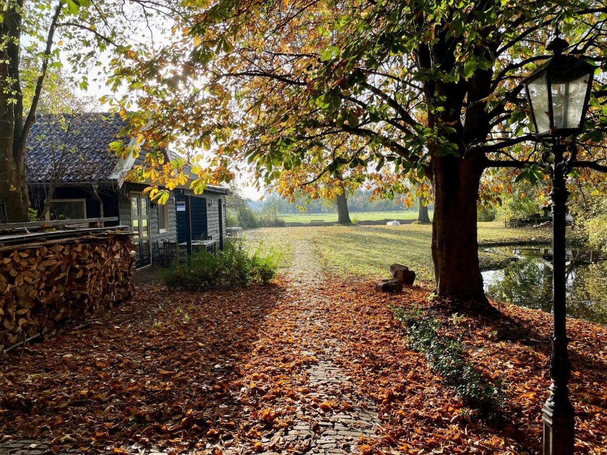 Ijsselmeer Lake Houses Andijk Exterior photo
